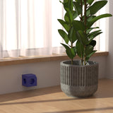 Ohmie Wall Celestial Blue