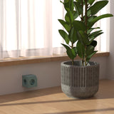 Ohmie Wall Aqua Green